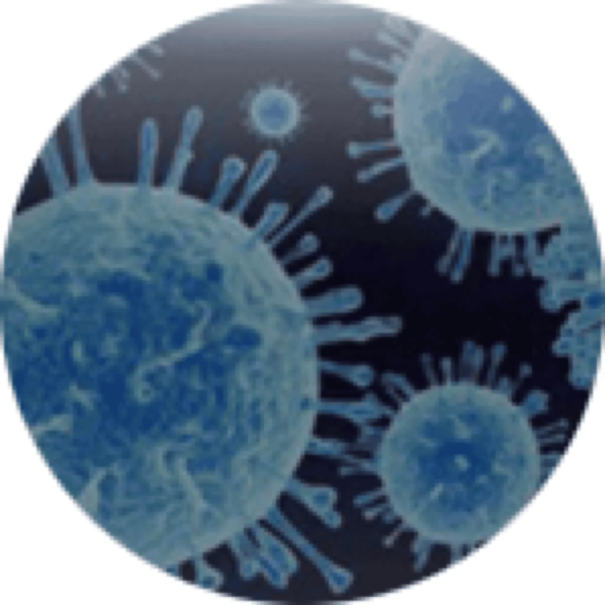 Escherichia coli